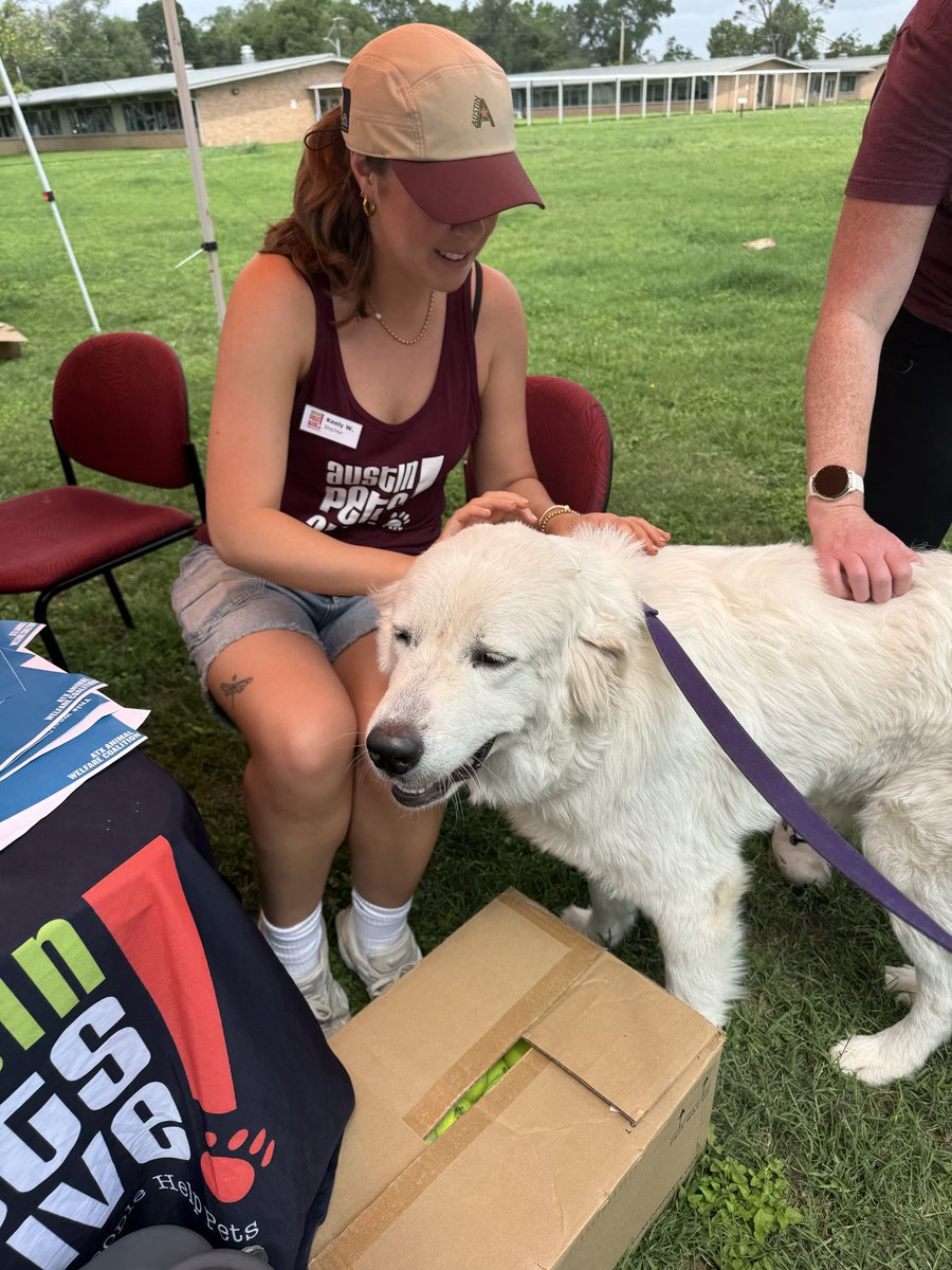 Austin Pets Alive! tweet media