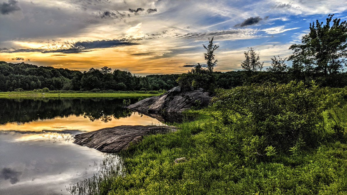 GSteffanos's tweet image. Hundreds of tiny yellow flowers in the (not grass) green ground cover. New Britain Reservoir, Wolcott, Connecticut. August 3, 2020, 6:56 PM.

#hiking #photography #outdoors #landscapephotography #nature #Connecticut #summer #forest #sunset #lake #summertime #wildflowers