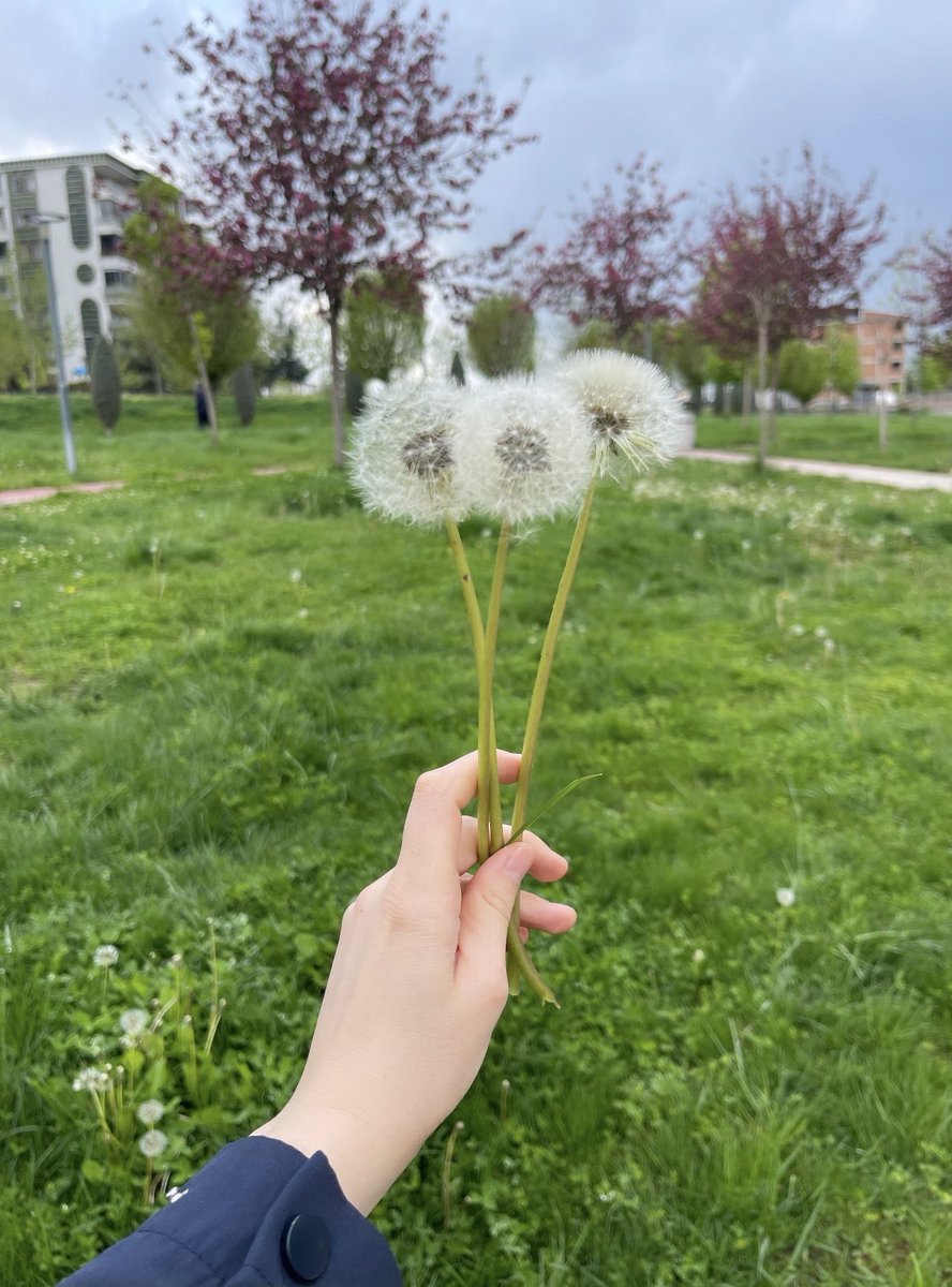 BetulAr72's tweet photo. “Her çiçekte bir rahmet,her adımda bir hikmet…
Rabbim, ruhumu da böyle yeşert.”

#bahar #flower #sprıng https://t.co/TRAif3CJgC