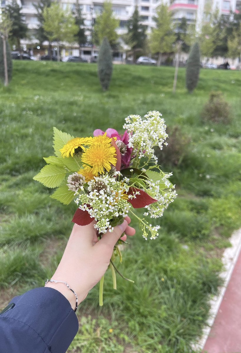 BetulAr72's tweet photo. “Her çiçekte bir rahmet,her adımda bir hikmet…
Rabbim, ruhumu da böyle yeşert.”

#bahar #flower #sprıng https://t.co/TRAif3CJgC