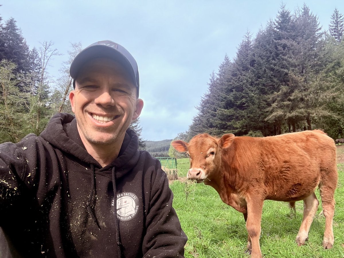 Dale Stark tweet media