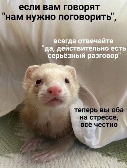 💜 Ella💙💛 tweet media