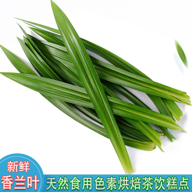 Егор Худяков tweet media