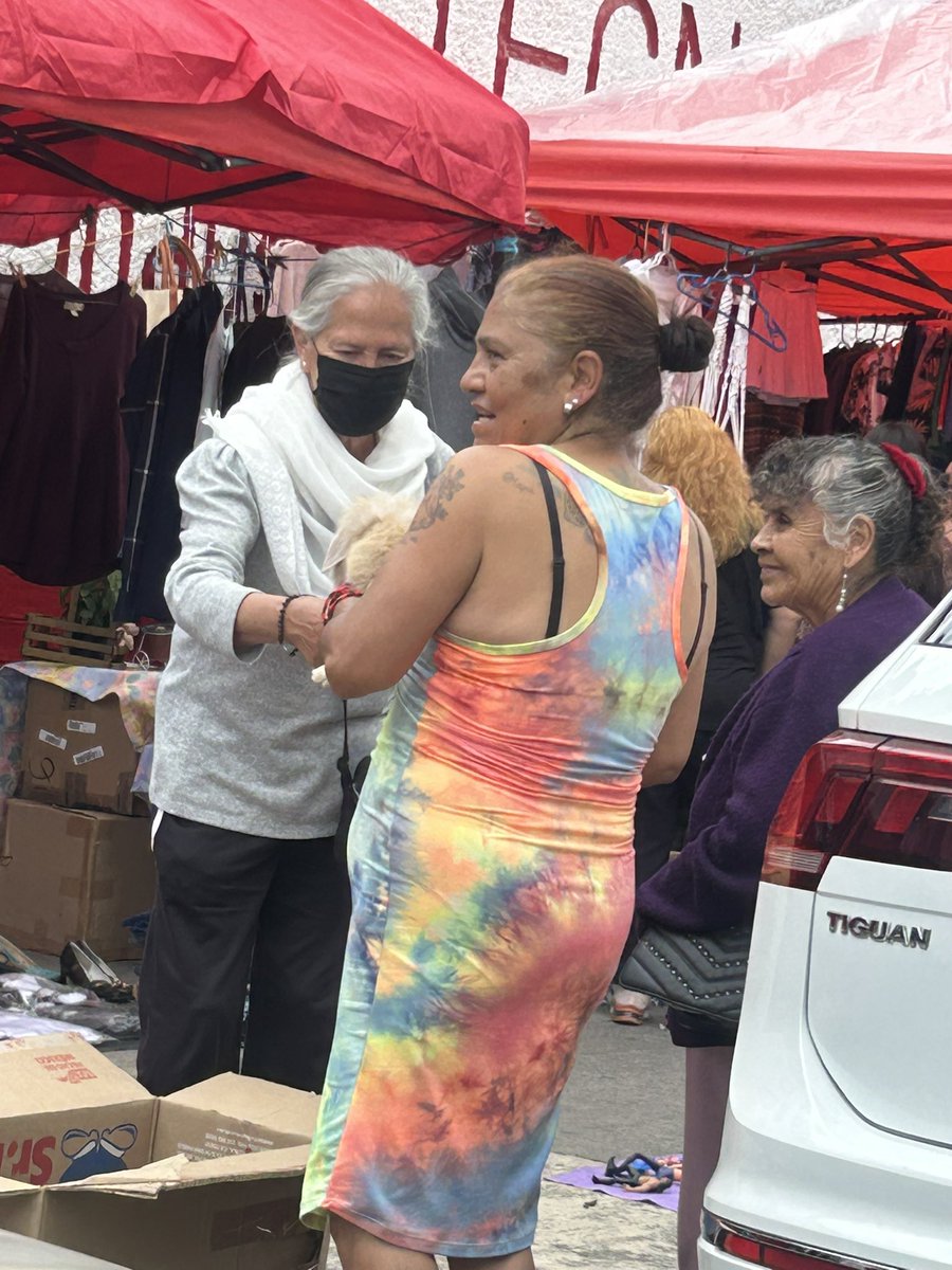 colecionista320's tweet image. @PAOTmx @PROFEPA_Mx en este momento están vendiendo crías de conejos en el tianguis de Cienfuegos col Ticoman en @TuAlcaldiaGAM