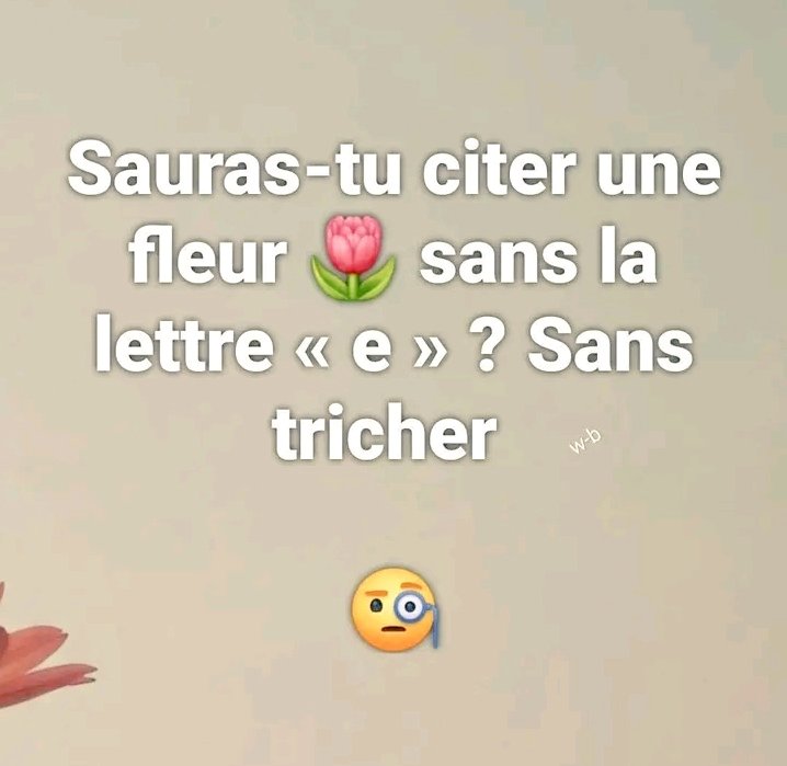 Junior Kaya tweet media