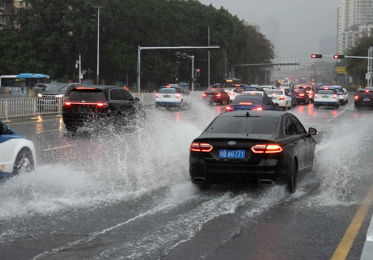 darkwell tweet media