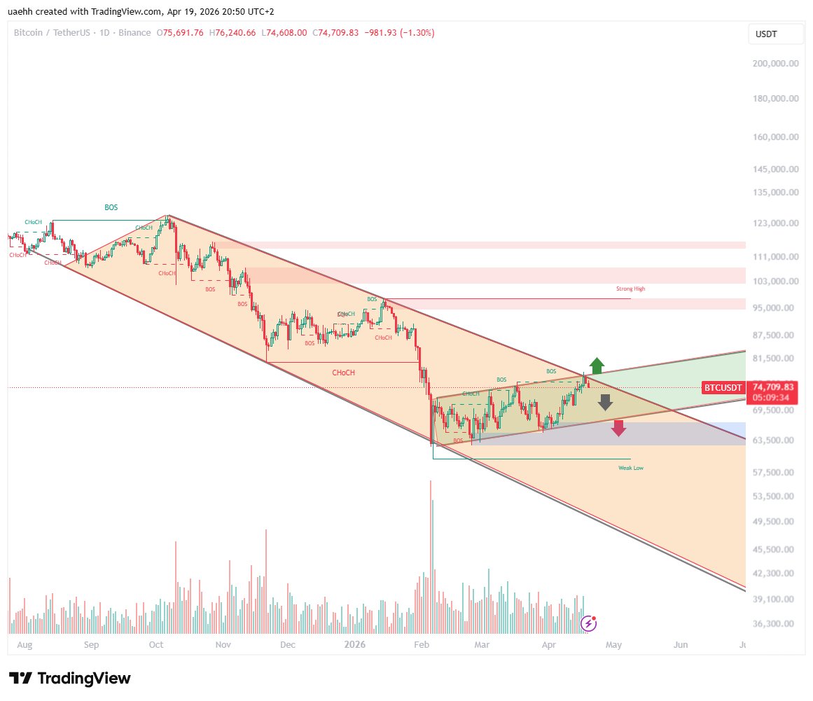 Sultan彡 tweet media