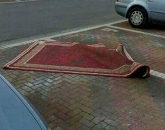 Ramin Nasibov tweet media