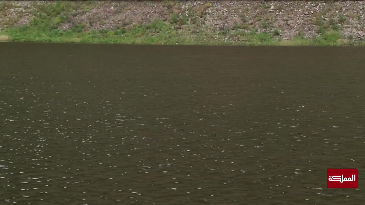 مياه سد الوحدة تعود إلى مجراها بعد اتفاق أردني سوري #الأردن 