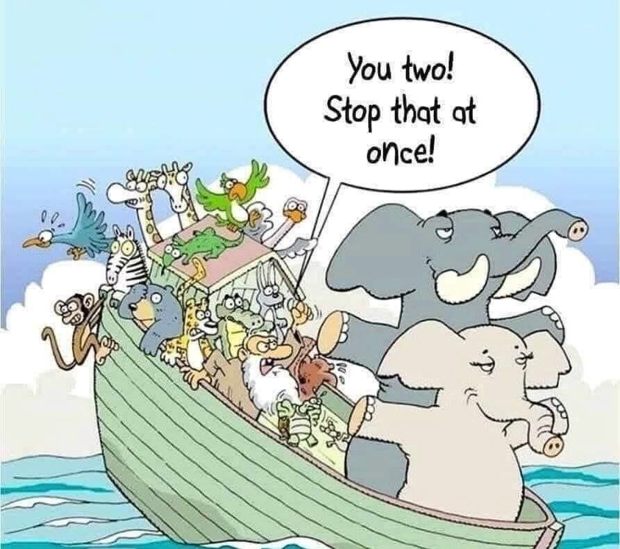 🎶🩵✨🤍𝐻𝒶𝓇𝓂𝑜𝓃𝓎🤍✨🩵🎶 tweet media