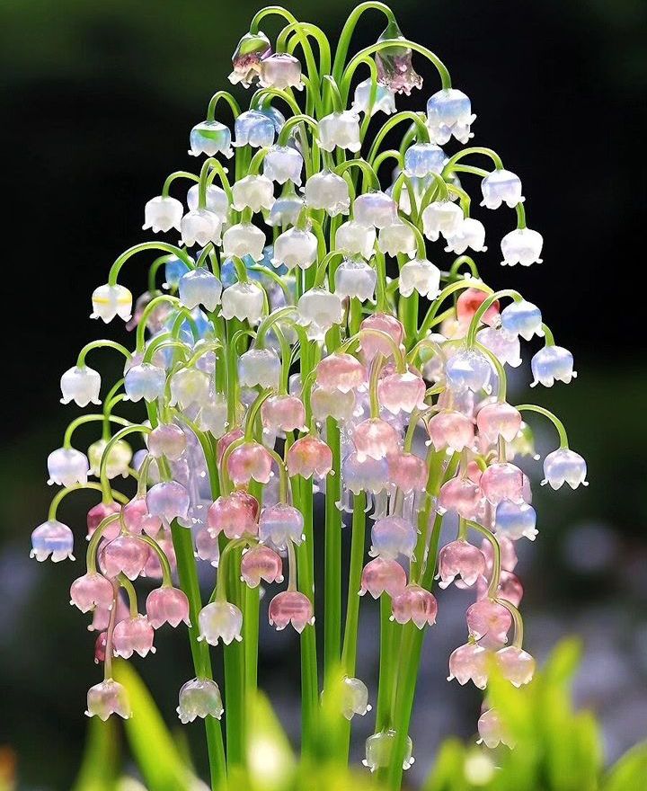 𝒍𝒖𝒏𝒂 tweet media