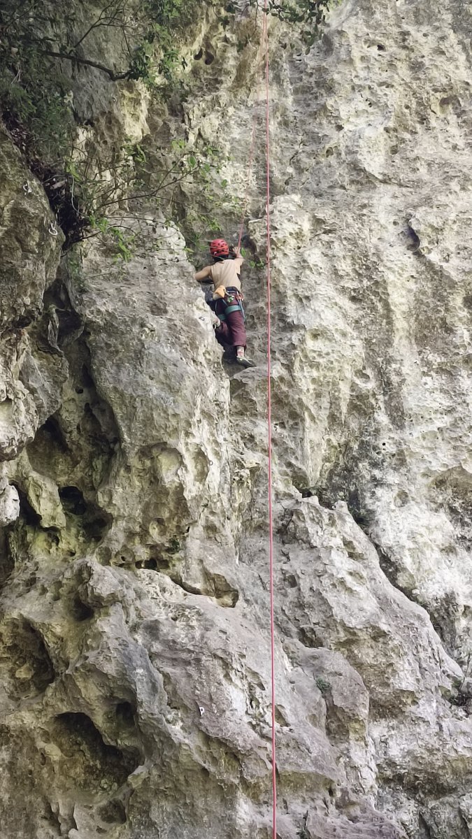 Lisa Perry tweet media