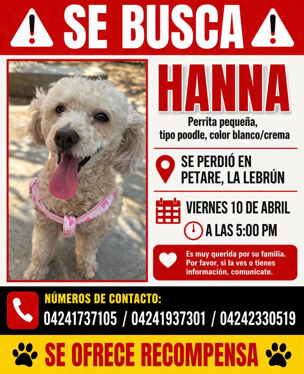 Su familia la sigue buscando, Petare