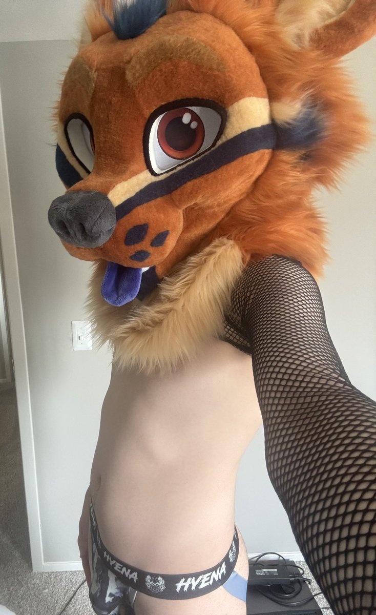 HyenaHeat🔜FWA tweet media