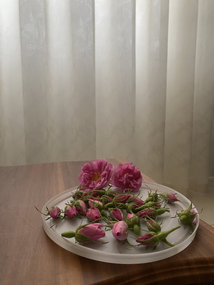 شیعه‌مرتضی‌علی بلاتکلیف باربع قرن تجربه tweet media