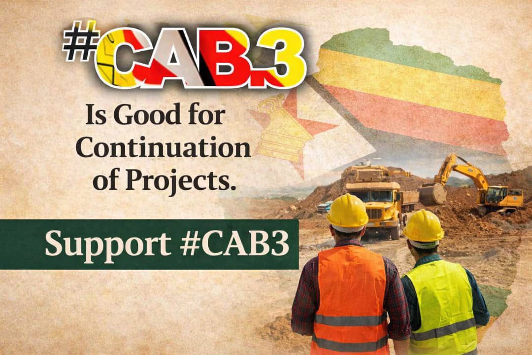 Ronnie Ncube tweet media