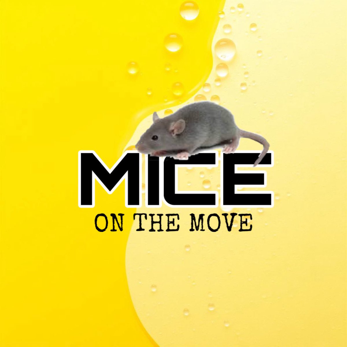 BenjiGamer2009 tweet media