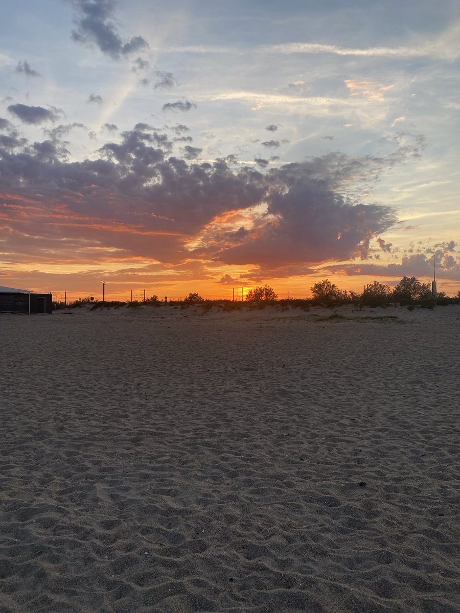 ‎‏ريفية ⵣ tweet media