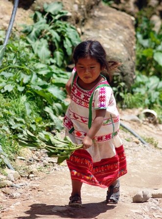 Descolonización Mexicana tweet media