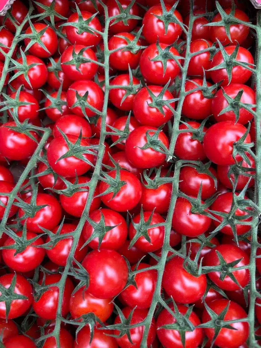 andika rama tweet media