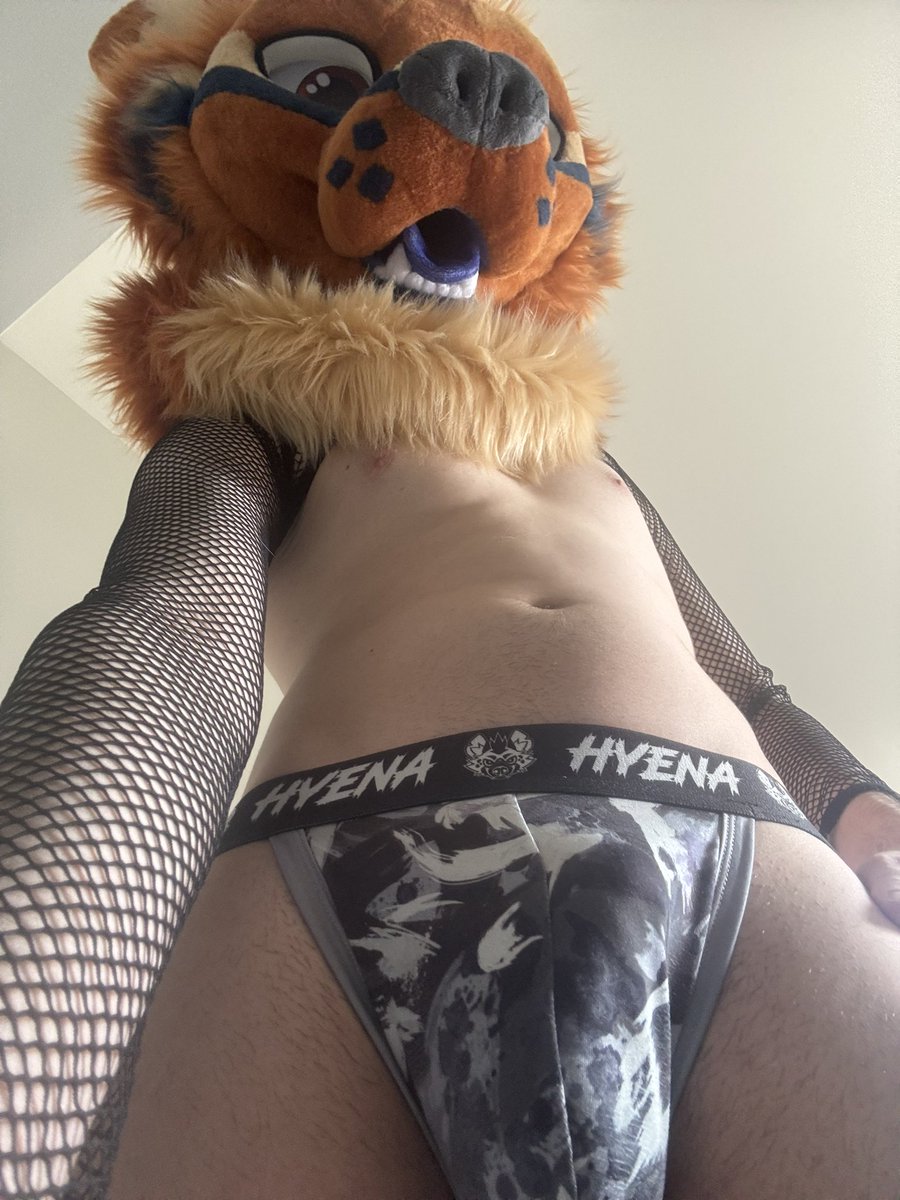 HyenaHeat🔜FWA tweet media