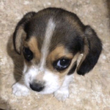 FateZeen tweet media