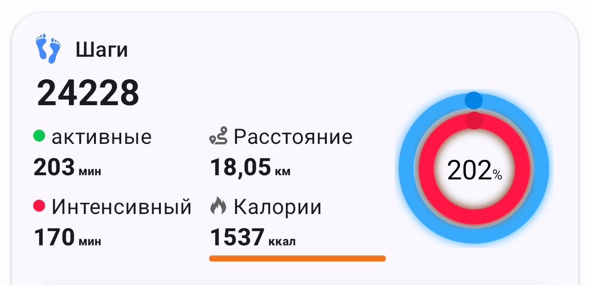 Понтий Пират 🏴‍☠️ tweet media