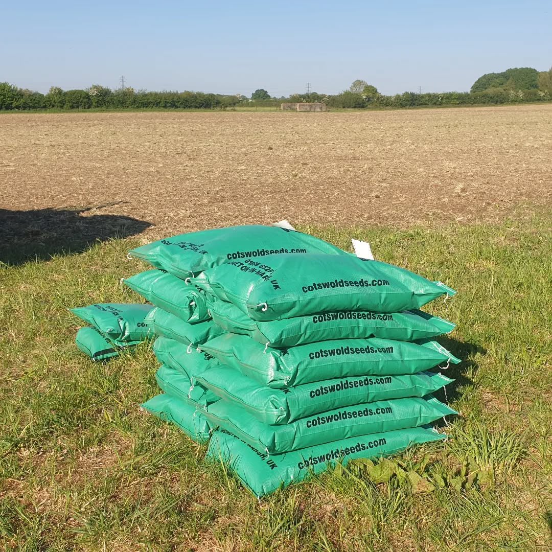 CotswoldSeeds's tweet photo. 12 acres of herbal ley at @lydiardturkeys 🌱
They said:
“In order of what we did:
Sub soiling me and Dad
Dung spreading me and Neil
Inverta discs Derran
Power harrow Noel
Cambridge roll x 2 me
flat roll x 2 me and Dad”
#soilhealth #herballey #regenag #regenfarming https://t.co/gQ7qiQ9kZO