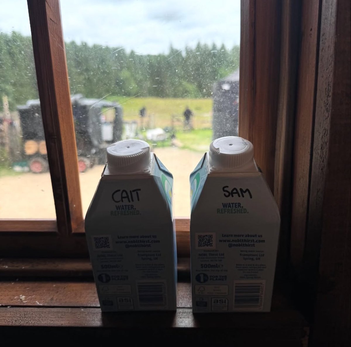 Annmarie🌺 tweet media