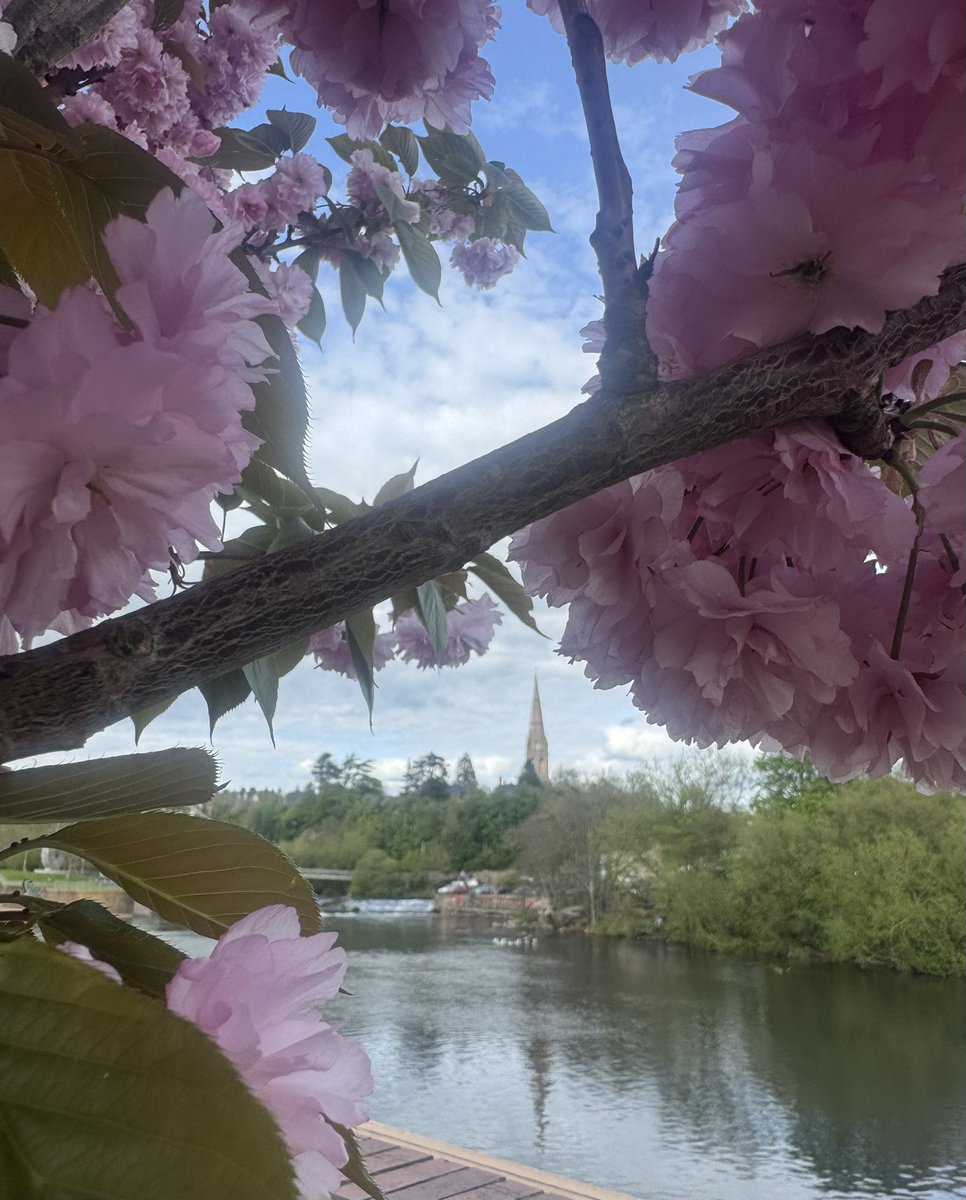 Mr_John_Harvey_'s tweet image. Well - after the 🎢 that was the #AVFC game today - it was so good to go #SundayStrollin through #Exeter’s #RiversideValleyPark and enjoy the glorious Spring Blossom 🌸 😍
#LoveExeter 
instagram.com/p/DXUs4IVDGu5/…