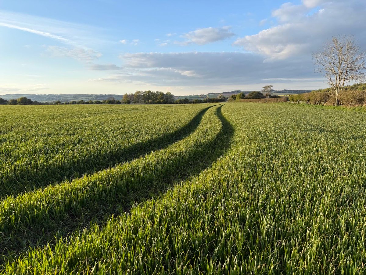 Rupert Lowe MP tweet media