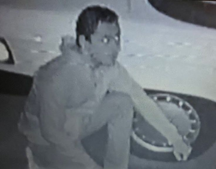 iris* jurídico cameron cassmore tweet media