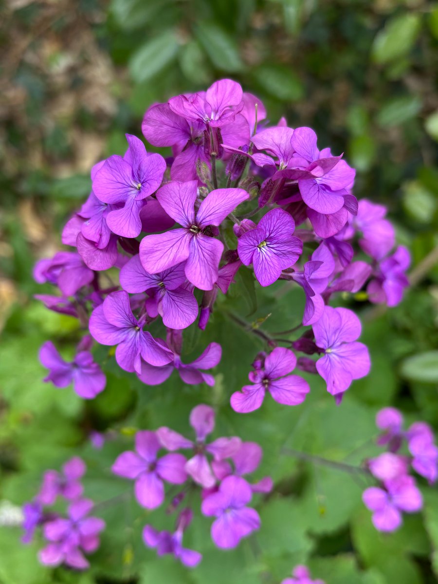 Lyn Edmonds tweet media