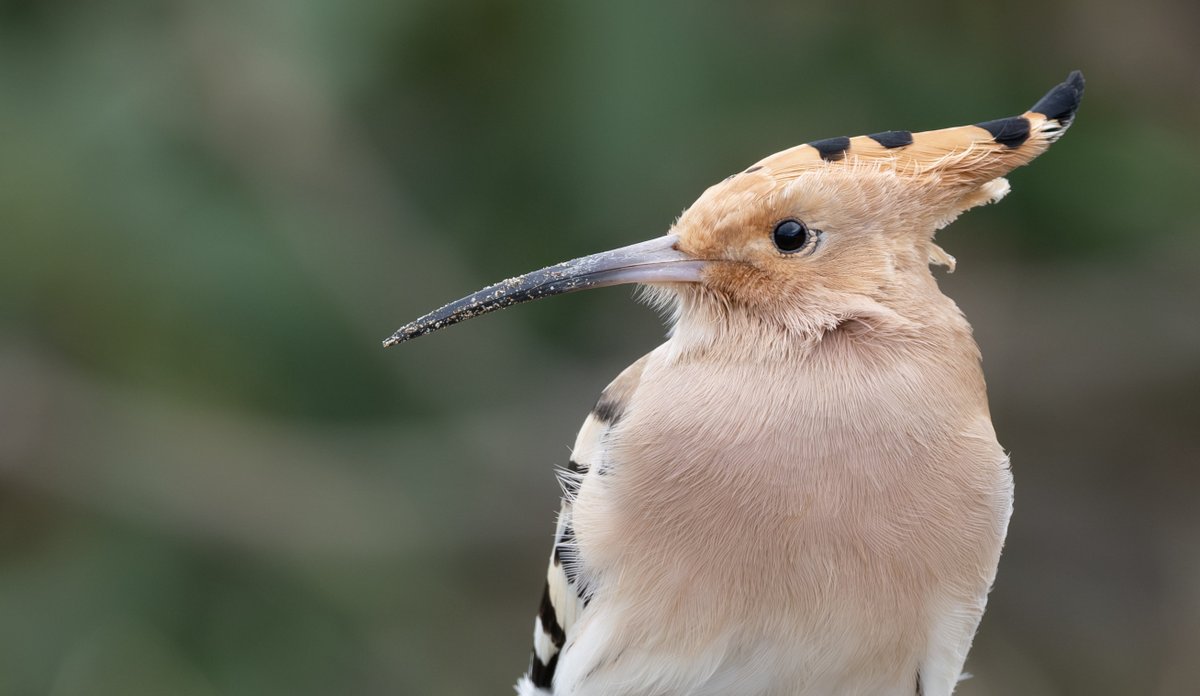 Hakan Yıldırım - Benimpencerem tweet media