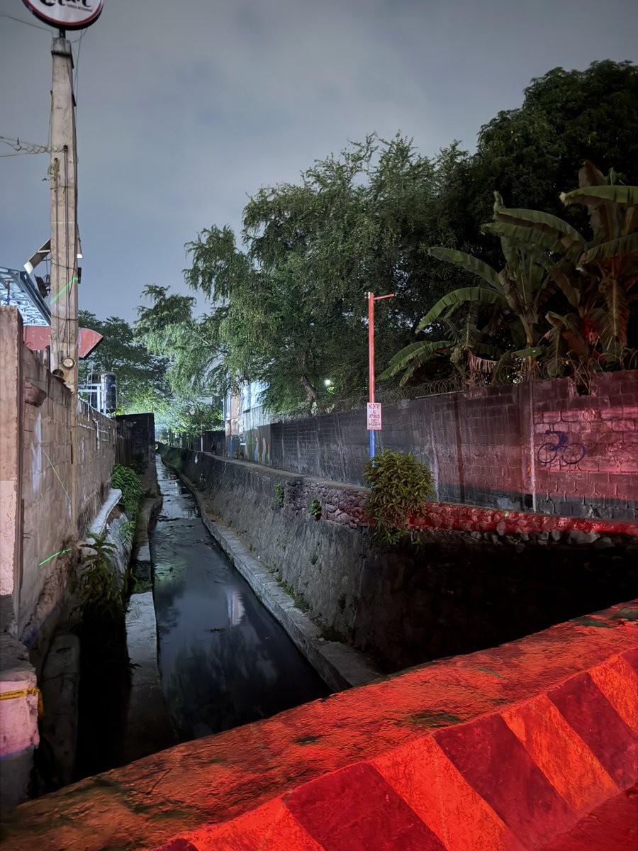 @Alterneosuckertripper tweet media