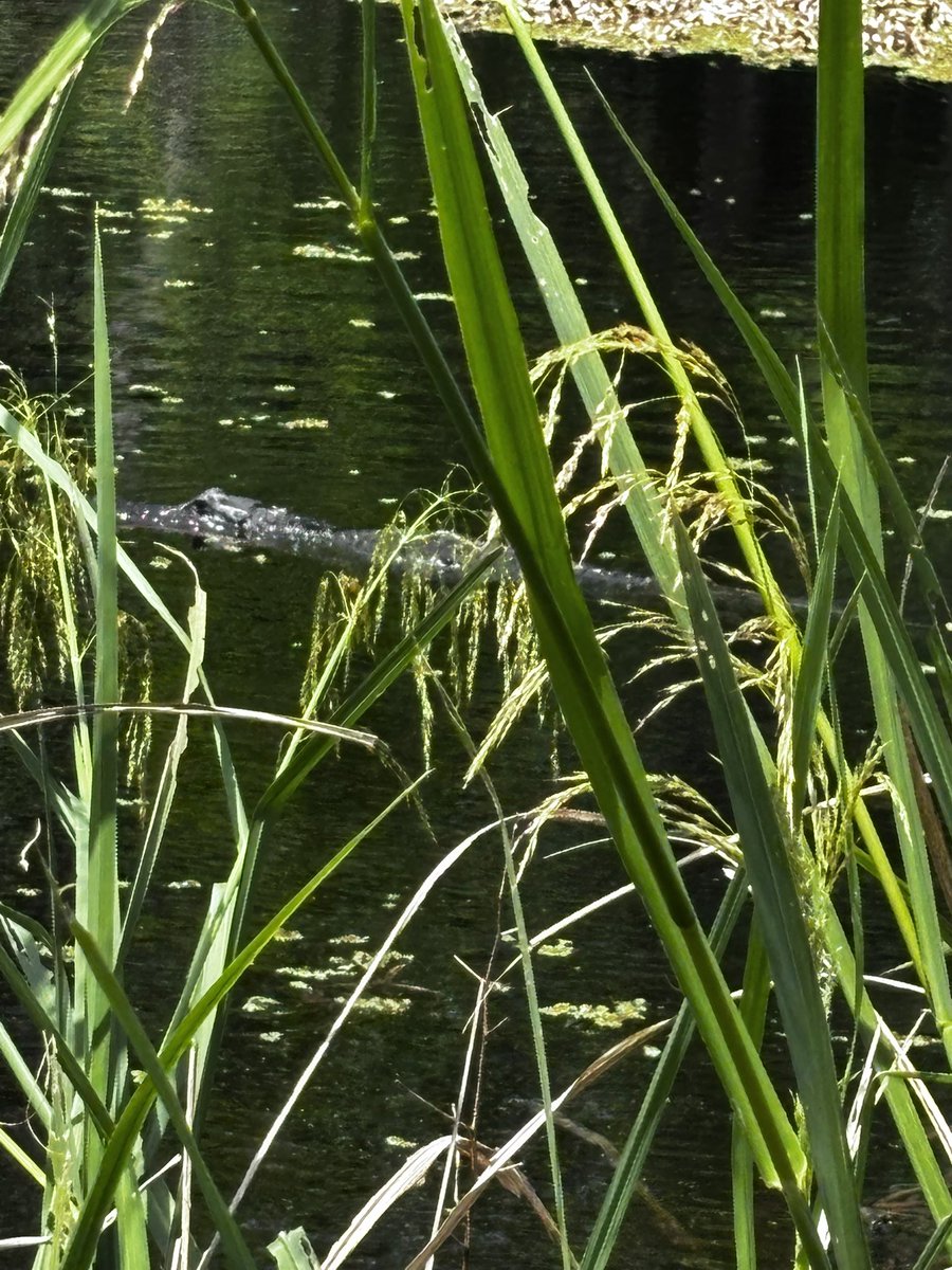 𝔩𝔦𝔩𝔴𝔞𝔯𝔡𝔢𝔳𝔦𝔩 tweet media