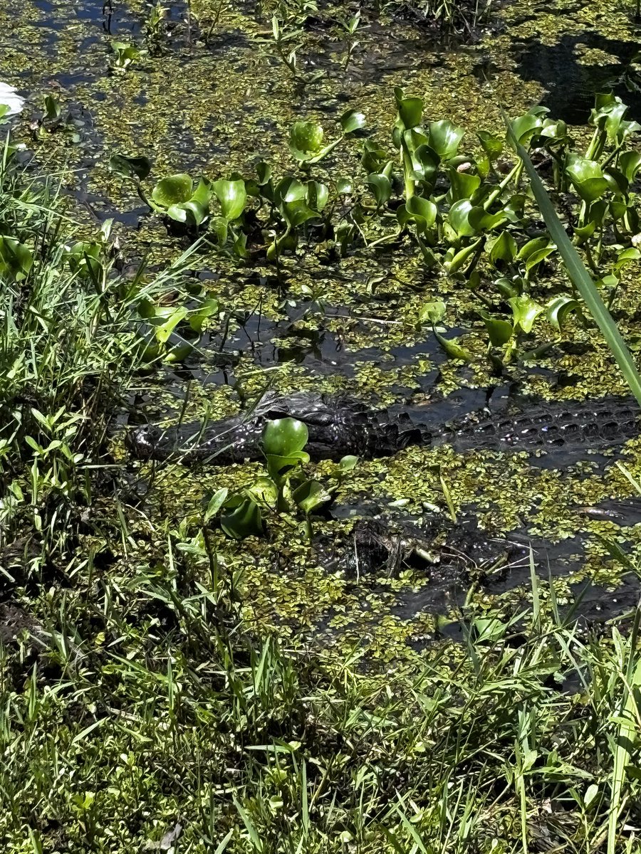 𝔩𝔦𝔩𝔴𝔞𝔯𝔡𝔢𝔳𝔦𝔩 tweet media