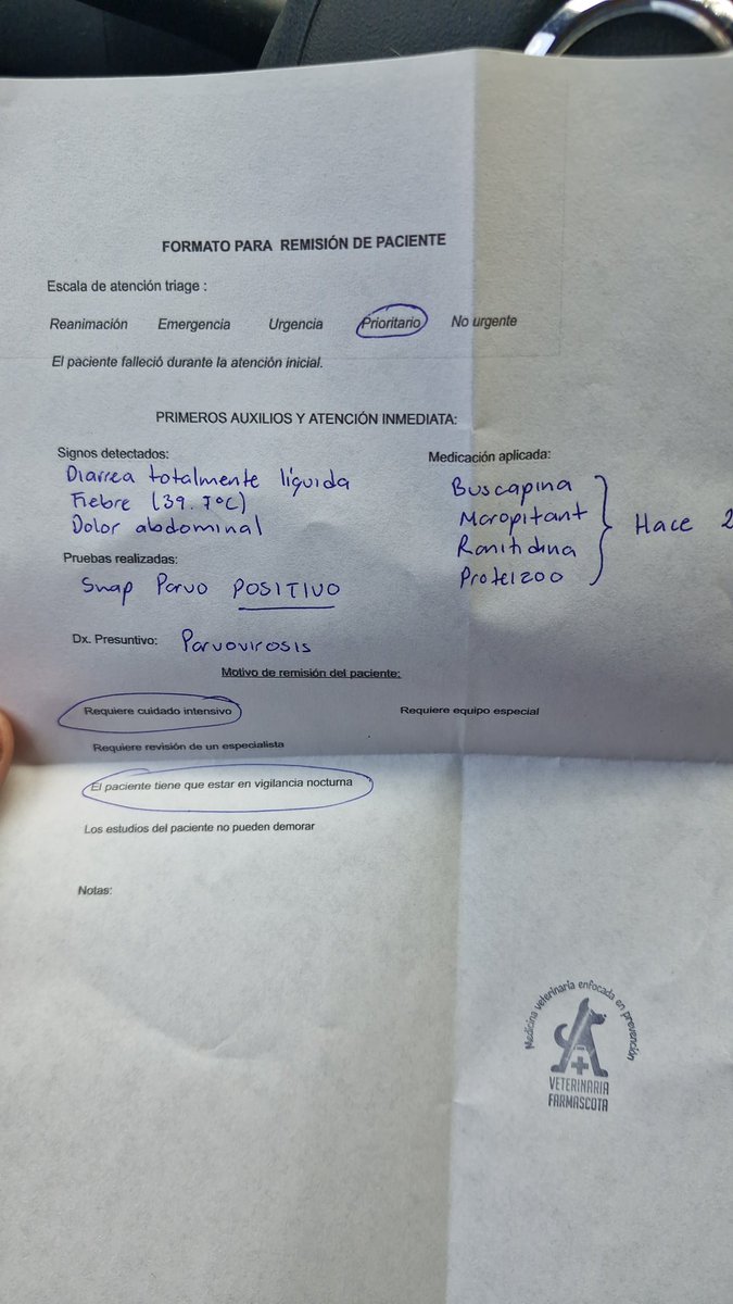 Zeig (COMMISSION OPEN) tweet media