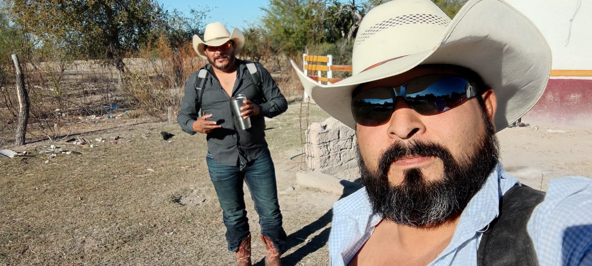 Secreto en la montaña tweet media