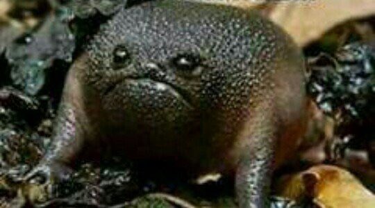 Chrollo“🎴 tweet media