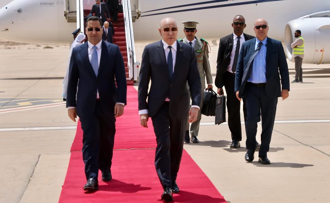 الخلاصة tweet media