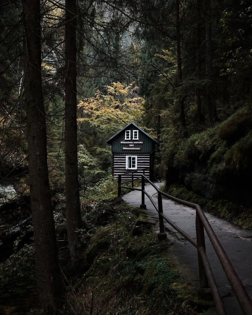 QuieroViajarGo's tweet image. ¡Qué rincón más mágico! Imagínate recorrer ese sendero rodeado de naturaleza, con una acogedora cabaña escondida en el bosque 🏞️✨. ¡Qué ganas de explorar! #Aventuras #Naturaleza

#QuieroEstarAhi y #QuieroViajar