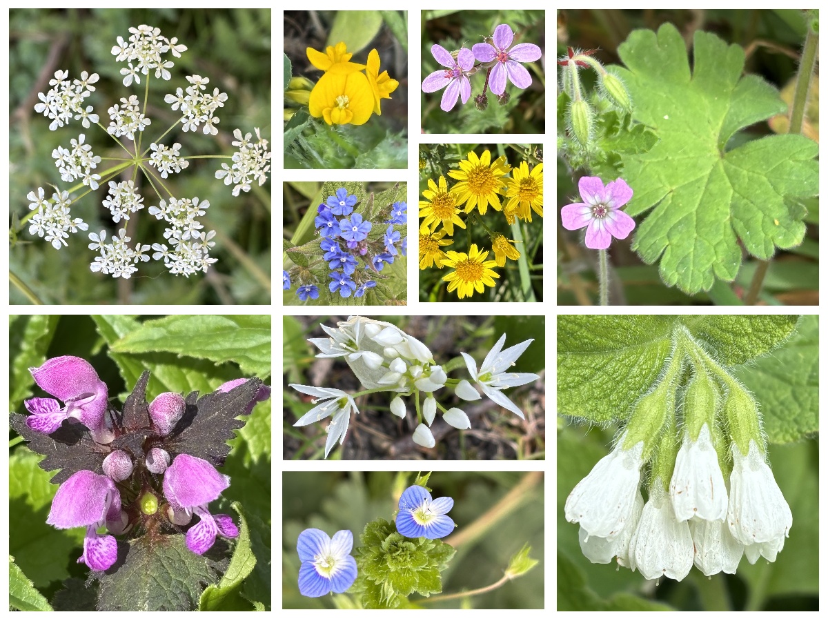 Lyn Edmonds tweet media