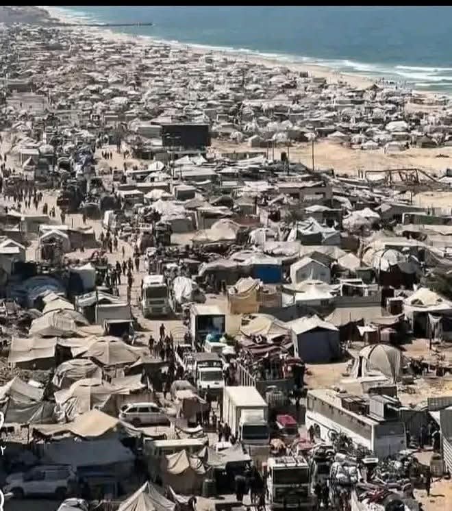 abrahim from Gaza tweet media