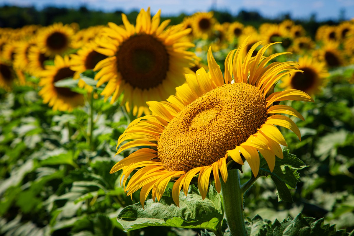 John Getchel tweet media