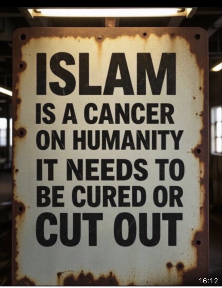 Meatballs n Paradise tweet media