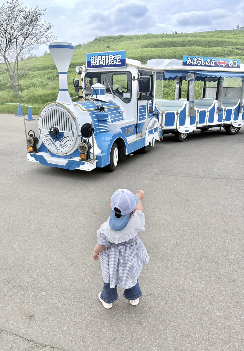 期間限定の園内汽車風バス🚎🪼

入り口ゲートからネモフィラエリアまでの直行便！

娘、これに乗ってバイバイしたら沢山の人にバイバイを振り返して頂いた経験から？

道ゆく人びとに積極的にバイバイするようになりました。

ひたち海浜公園のお客さん良い人多い。

#ひたち海浜公園