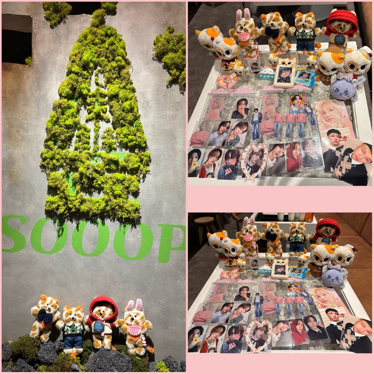 Sunny🪪（사니） tweet media