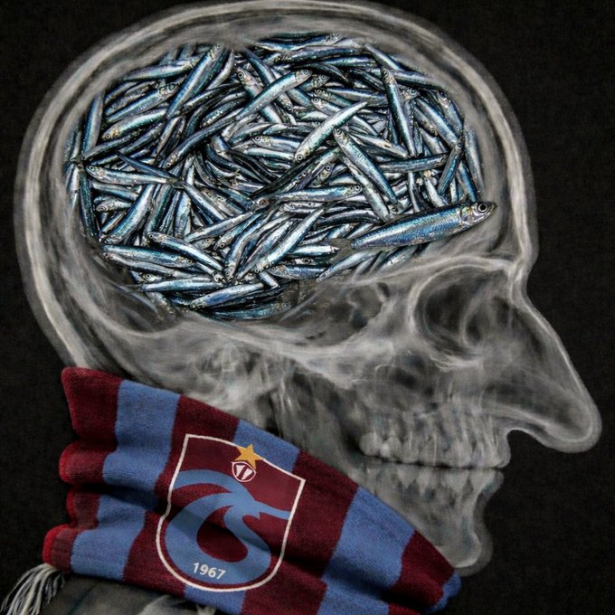 ᴋᴏꜱᴛᴏᴋʀᴀᴛ tweet media