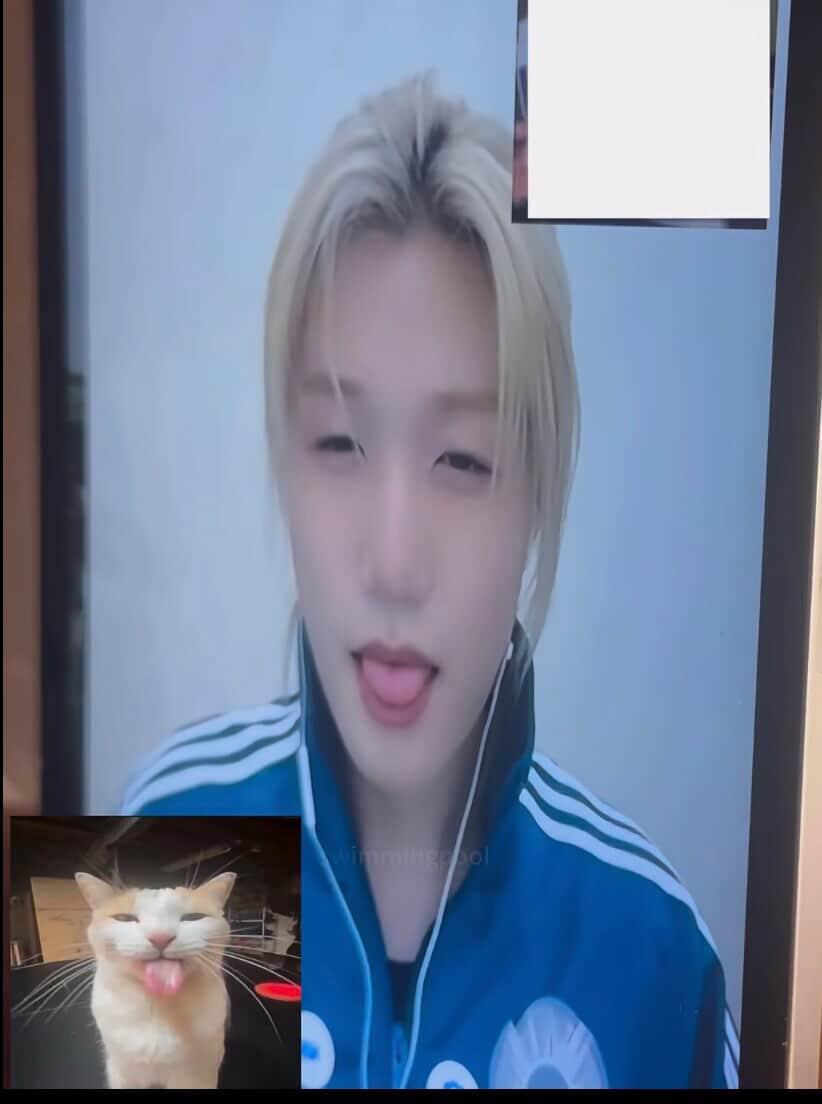 Alex ࣭ ⭑ tweet media